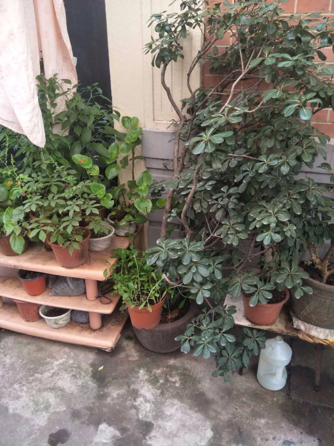 上海三徐里63弄小区_三徐里63弄小区null