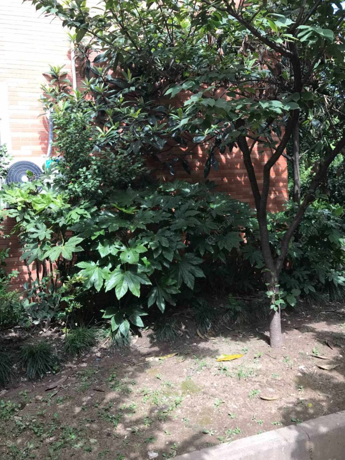 上海银华苑(静安)小区_小牛看房