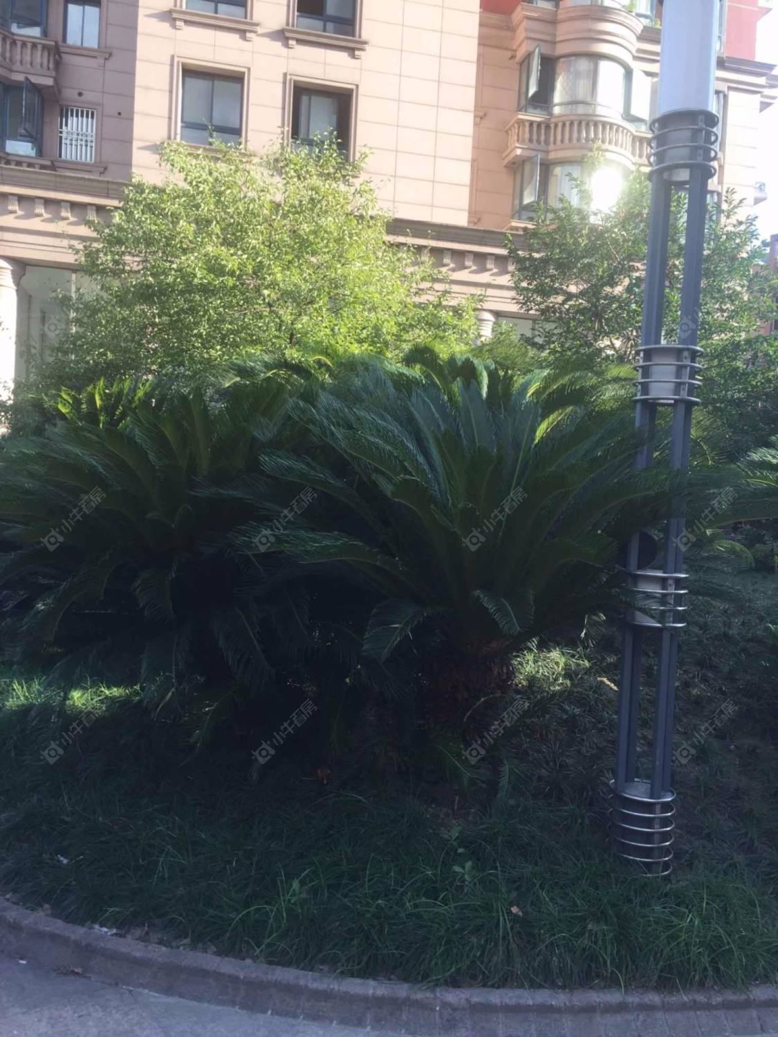 上海新红厦公寓小区_新红厦公寓小区null