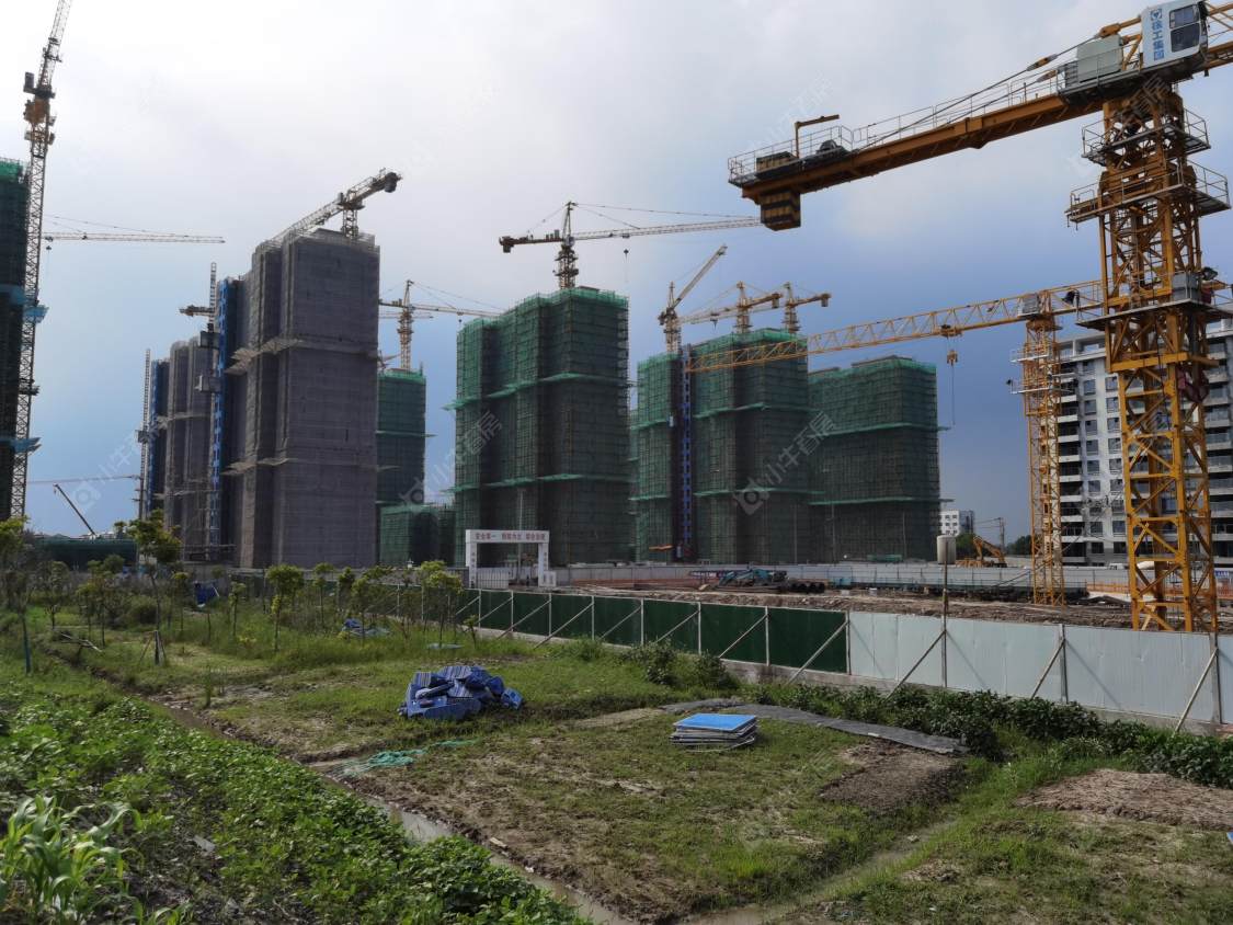 上海宝业青春里在售新楼盘null