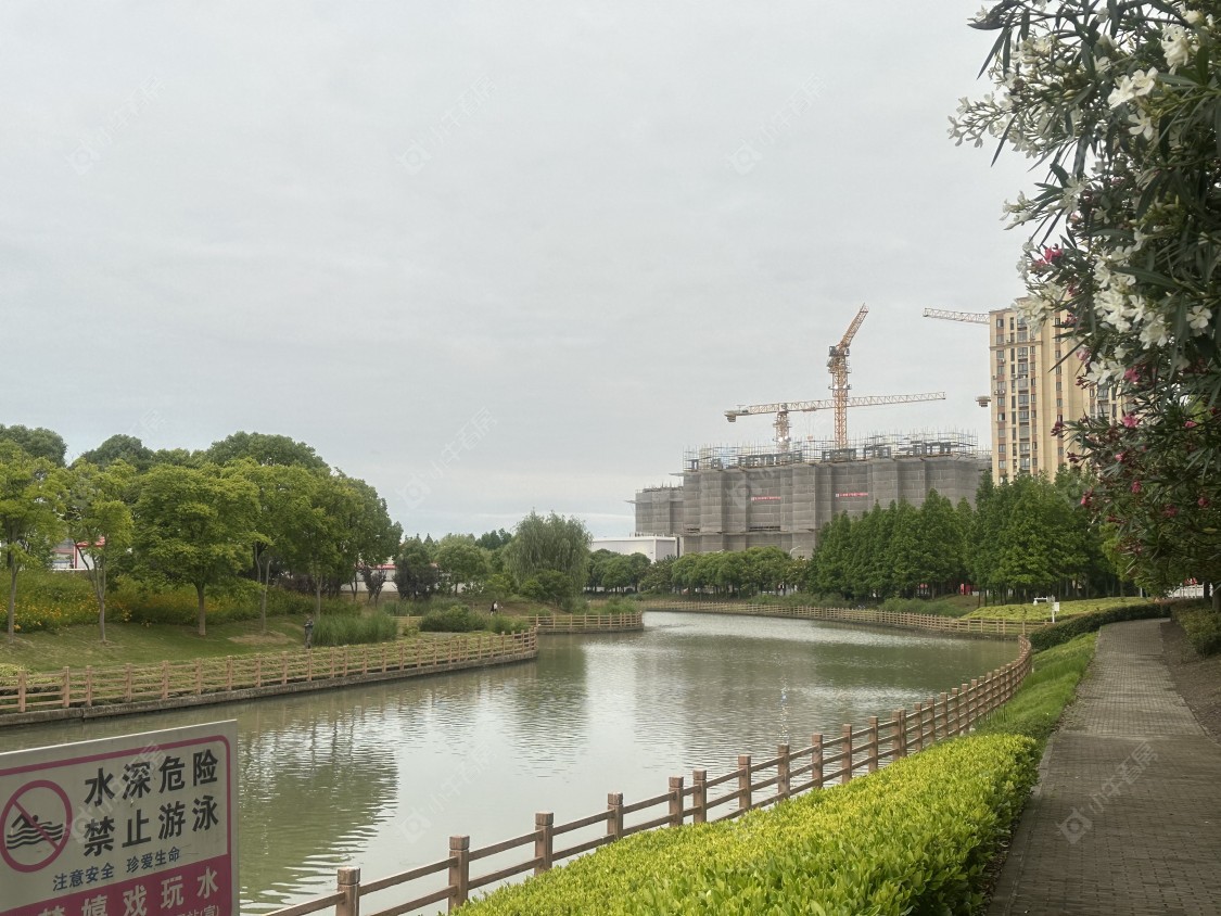 上海招商中旅揽阅在售新楼盘null