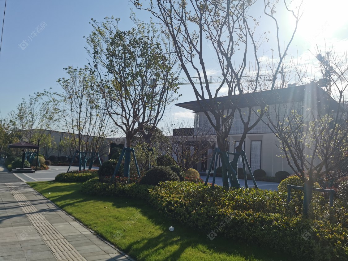 上海云湖壹号在售新楼盘null