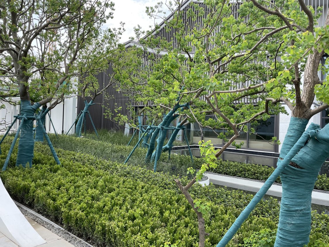 上海路劲象屿岛上的院子小区_路劲象屿岛上的院子小区null