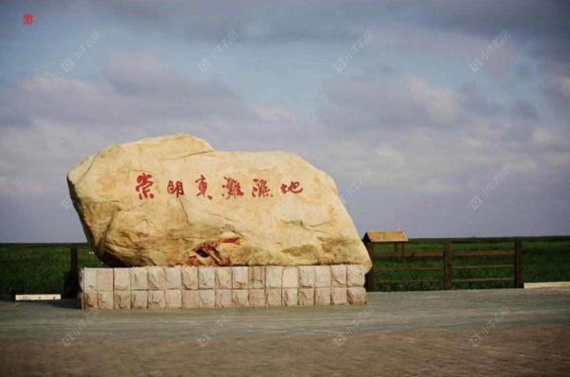 上海路劲象屿岛上的院子小区_路劲象屿岛上的院子小区null