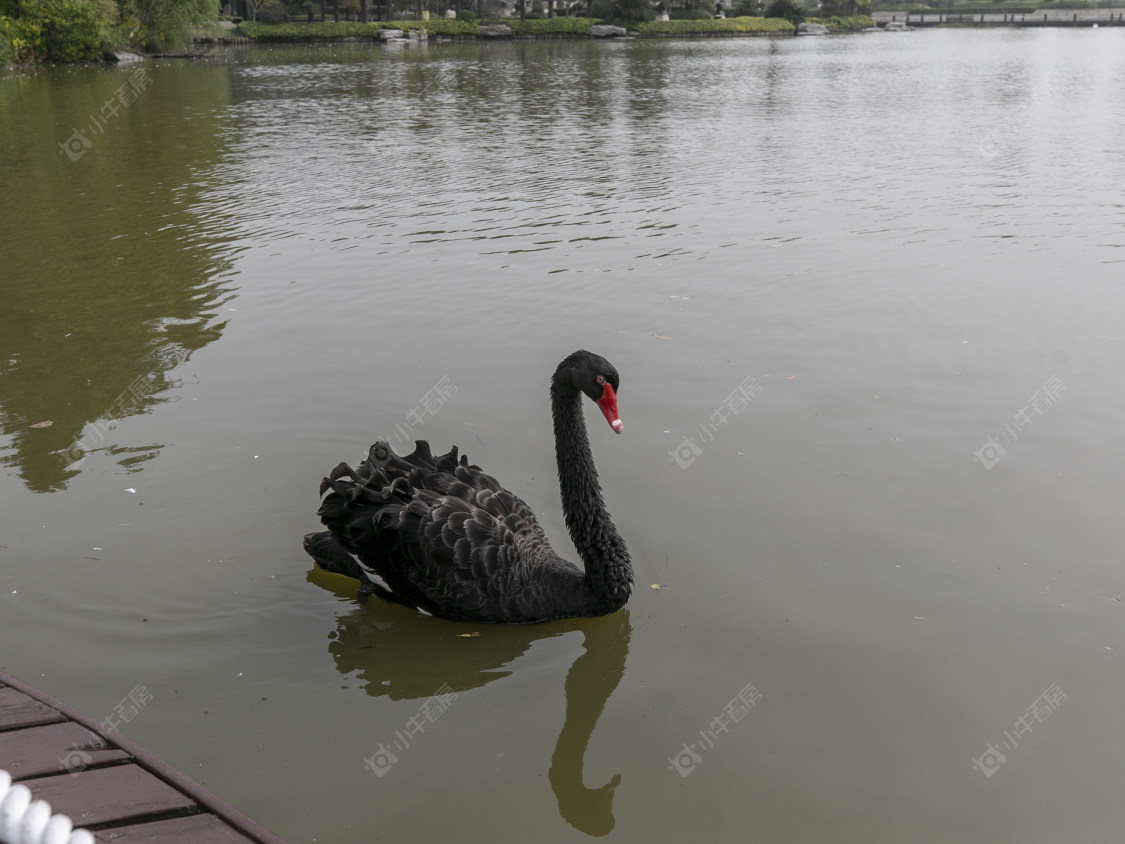 上海东滩海上明月别墅区小区_东滩海上明月别墅区小区null