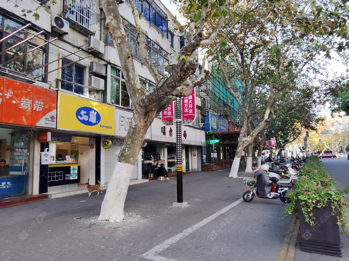 上海金融街金悦府小区_金融街金悦府小区null