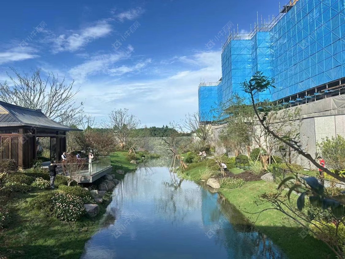 上海建发朗玥在售新楼盘null