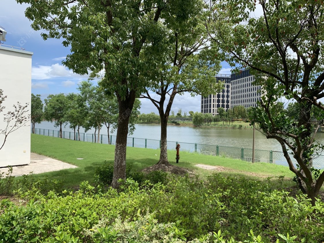 上海云湖壹号在售新楼盘null