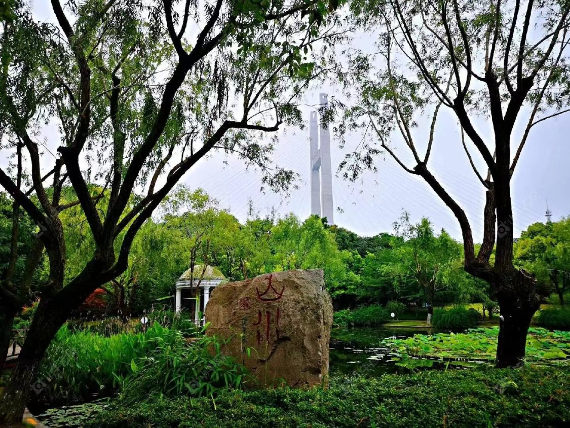 上海保利光合上城小区_保利光合上城小区null