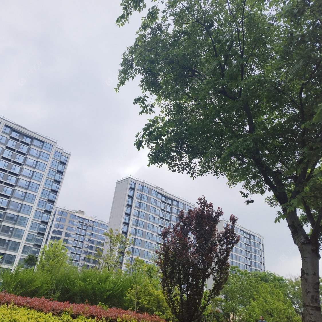 上海国贸鹭原小区_国贸鹭原小区null