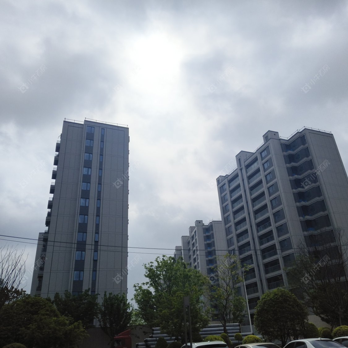 上海国贸鹭原小区_国贸鹭原小区null