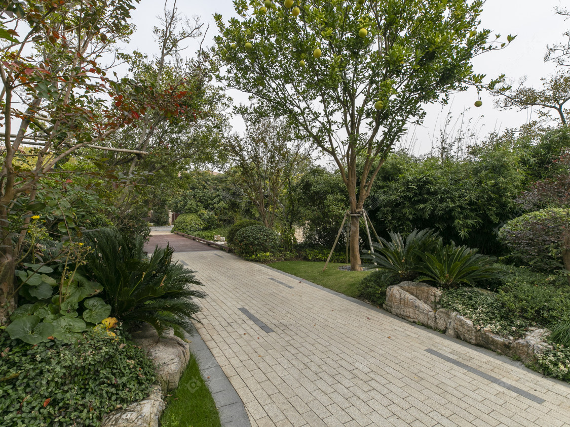 上海东滩海上明月别墅区小区_东滩海上明月别墅区小区null