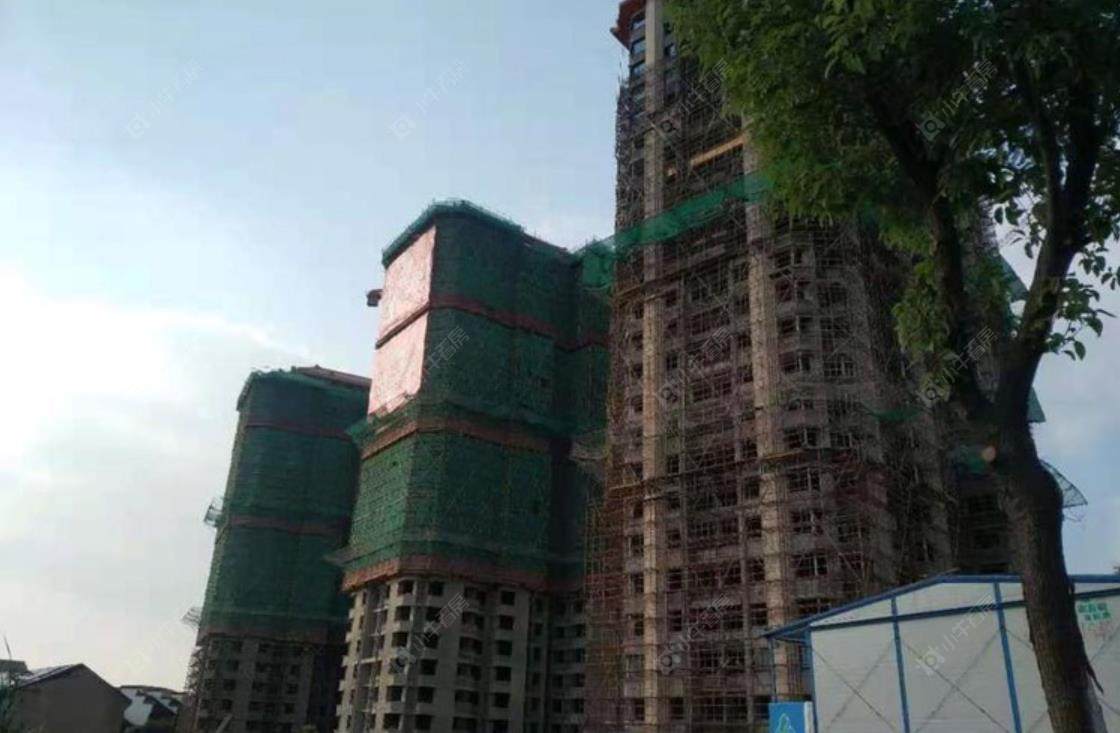 上海泗泾绿中海小区_泗泾绿中海小区null