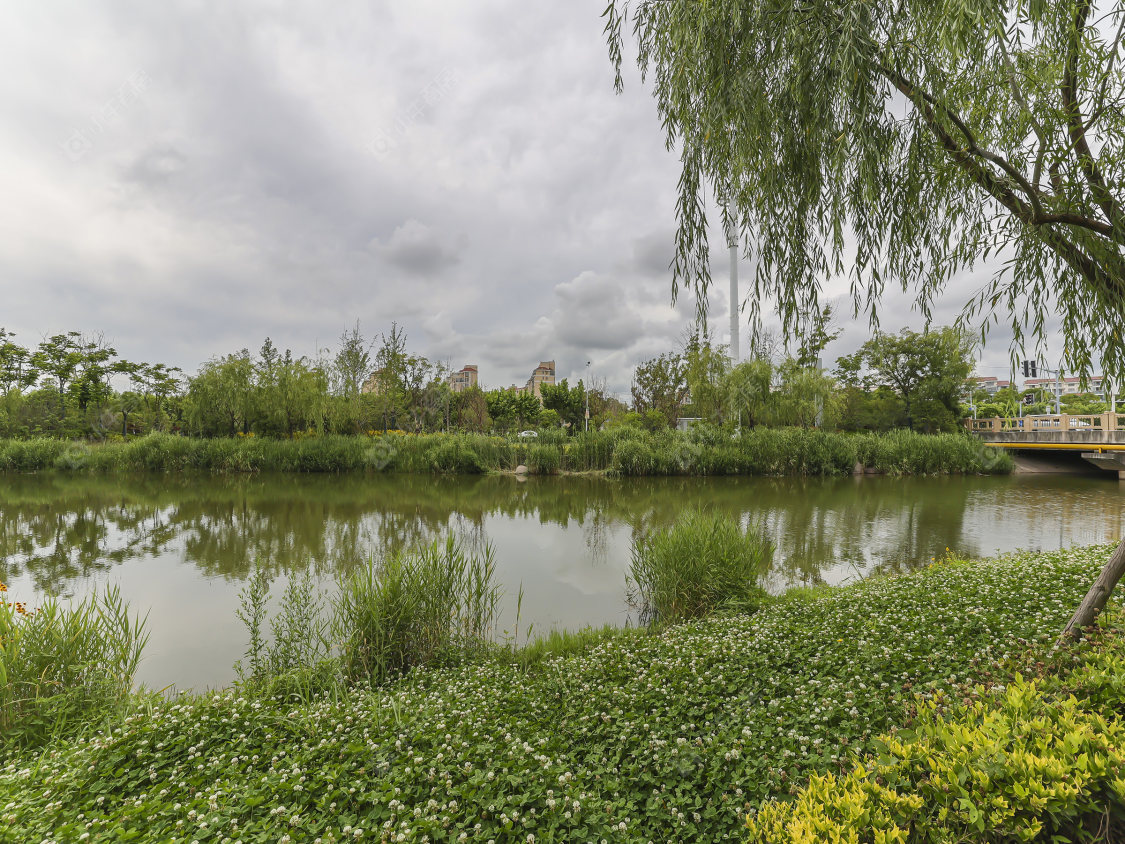 上海十里江湾289弄小区_十里江湾289弄小区null