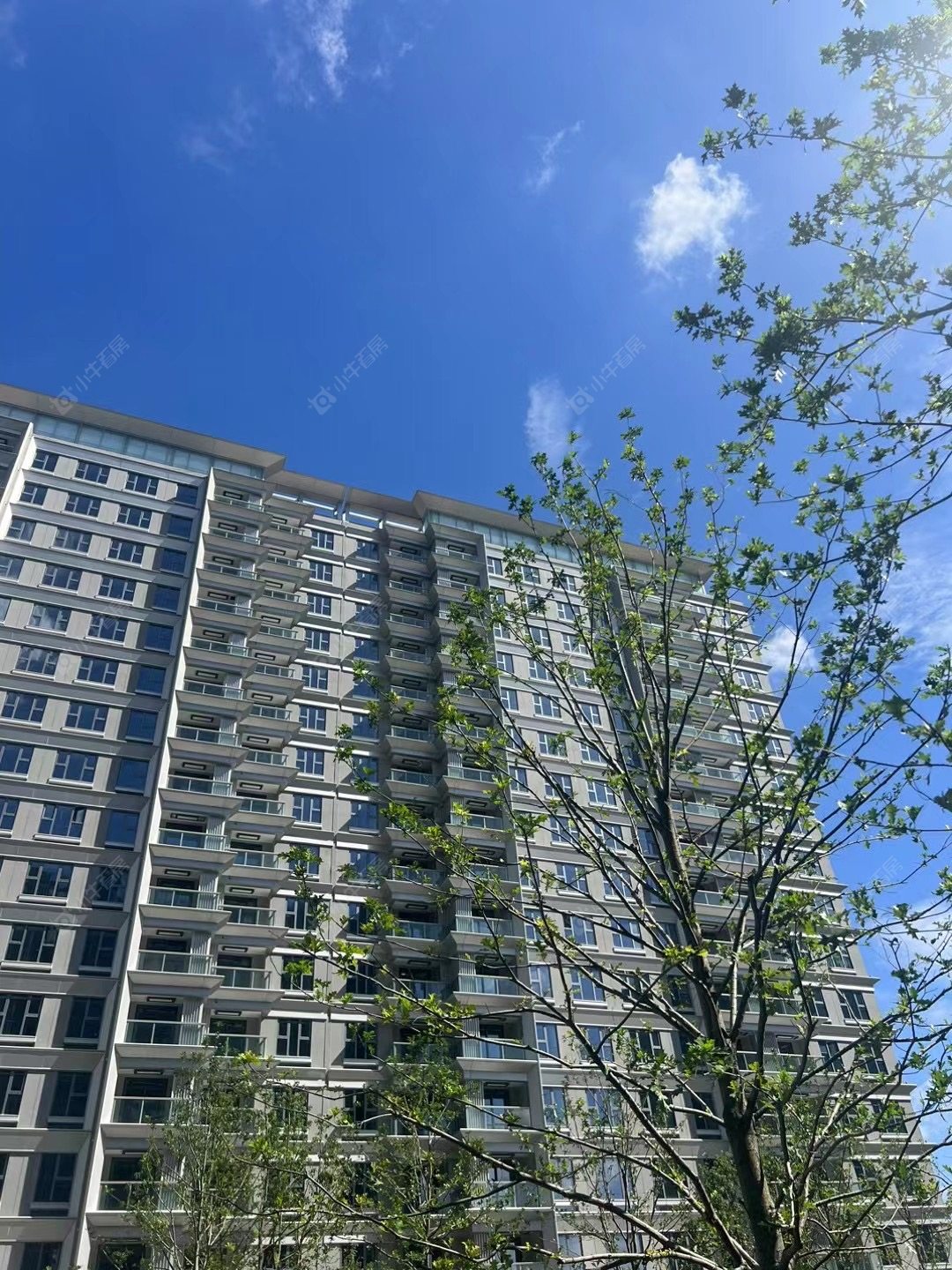 上海虹桥灿耀星城小区_虹桥灿耀星城小区null