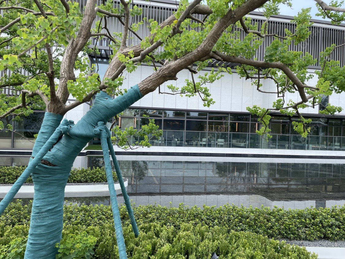 上海路劲象屿岛上的院子小区_路劲象屿岛上的院子小区null