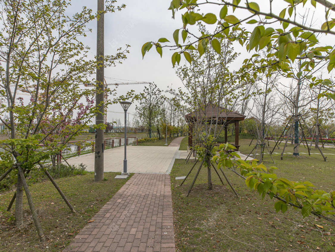 上海十里江湾289弄小区_十里江湾289弄小区null