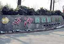 上海路劲象屿岛上的院子小区_路劲象屿岛上的院子小区null