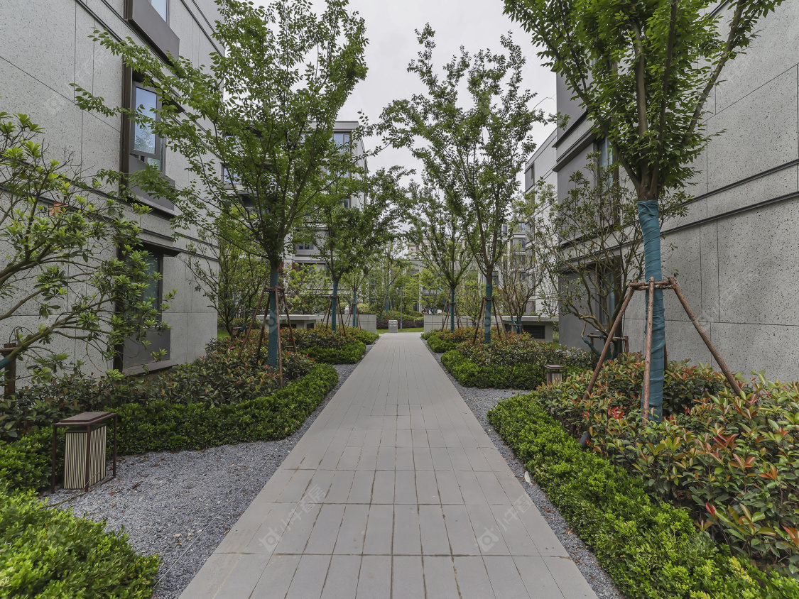 上海十里江湾289弄小区_十里江湾289弄小区null