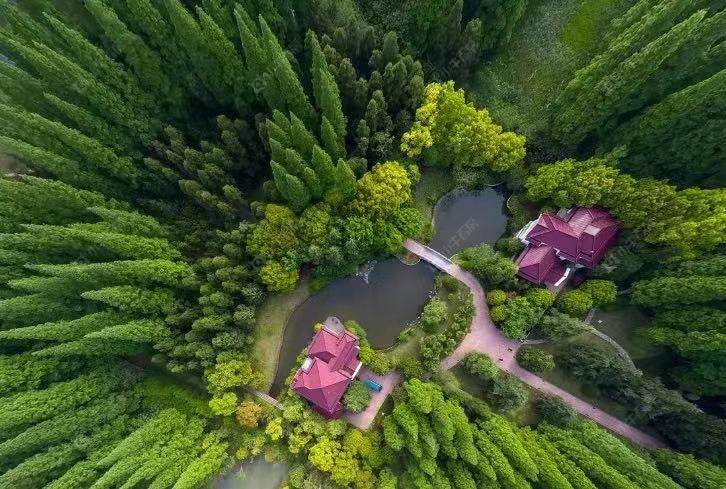 上海路劲象屿岛上的院子小区_路劲象屿岛上的院子小区null