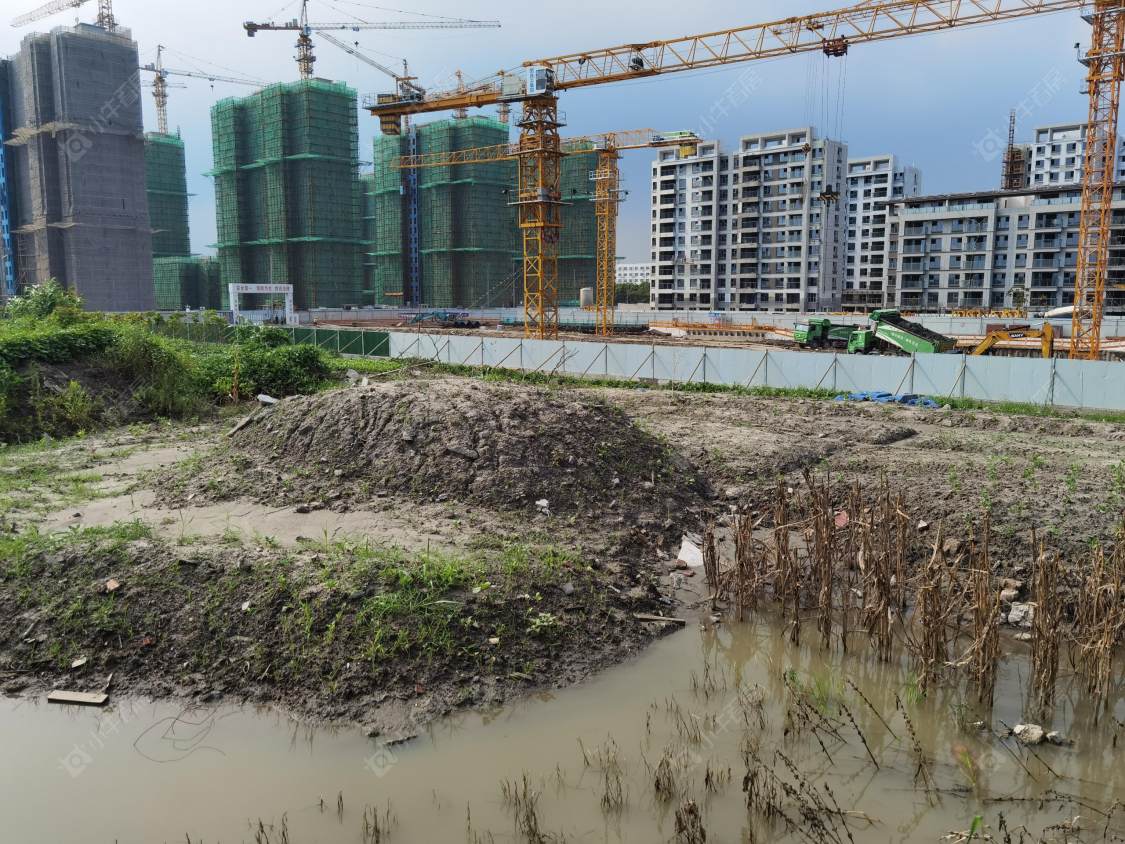 上海宝业青春里在售新楼盘null