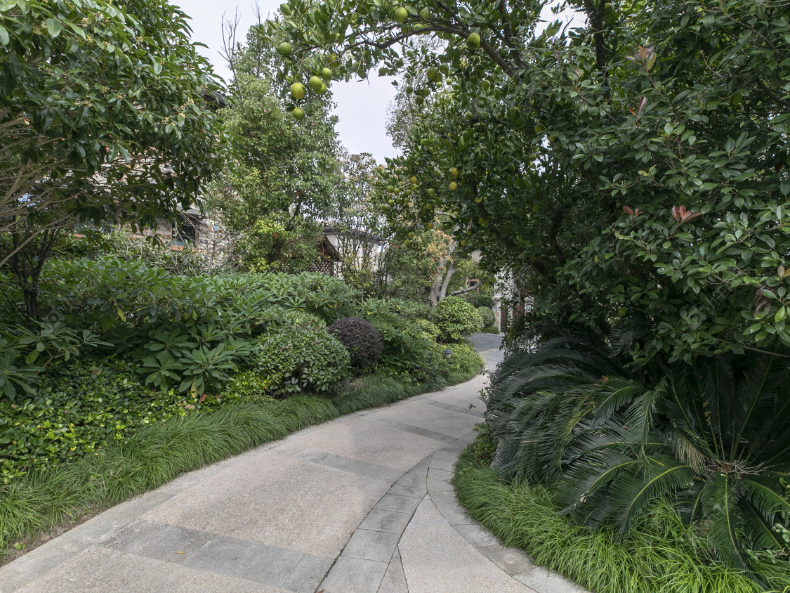 上海东滩海上明月别墅区小区_东滩海上明月别墅区小区null