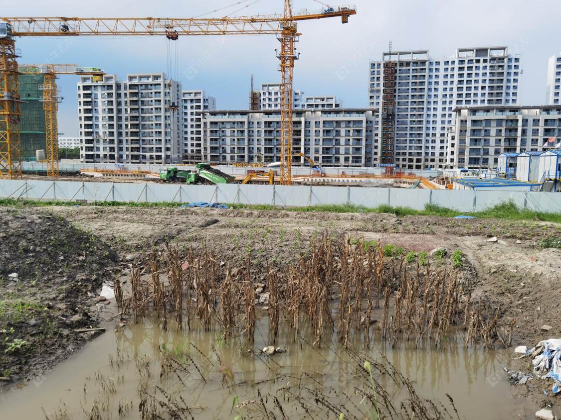 上海宝业青春里在售新楼盘null