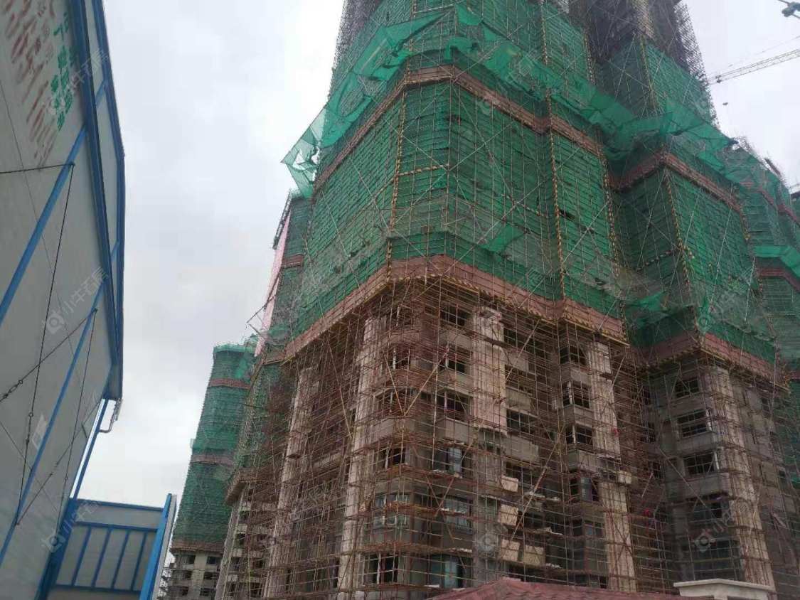 上海泗泾绿中海小区_泗泾绿中海小区null