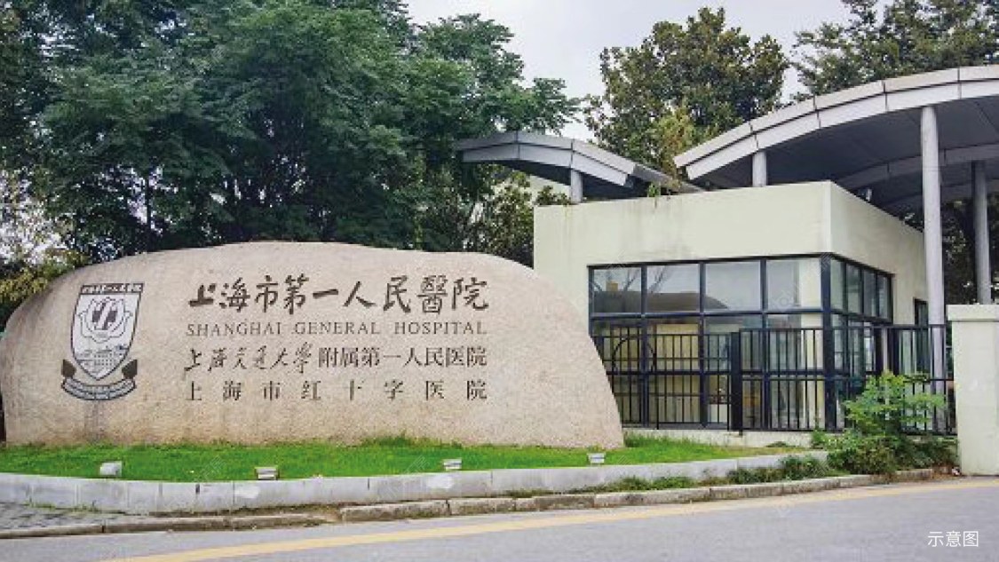 上海华发海上都荟在售新楼盘null