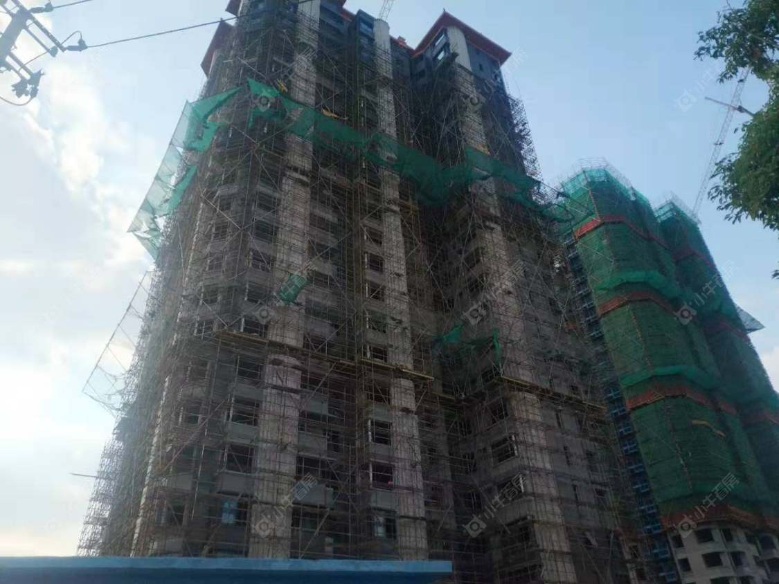 上海泗泾绿中海小区_泗泾绿中海小区null