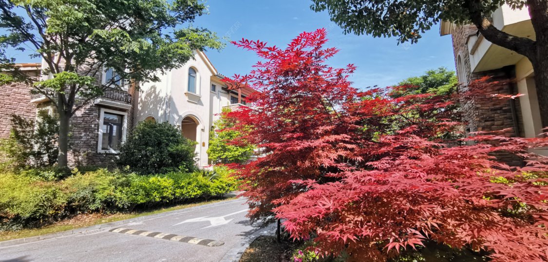 上海通用昱墅小区_通用昱墅小区null