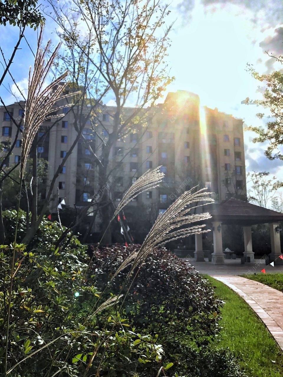 上海御岛财富小区_御岛财富小区null