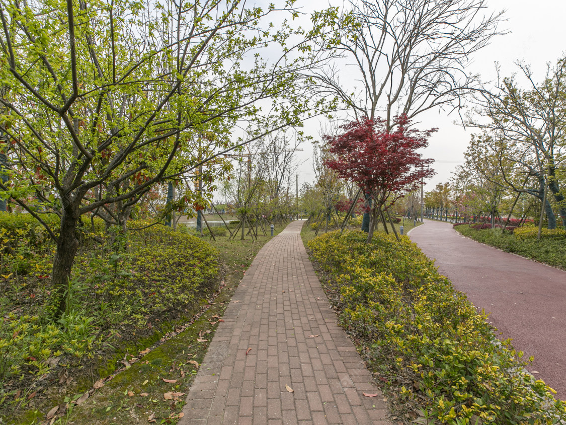 上海十里江湾289弄小区_十里江湾289弄小区null