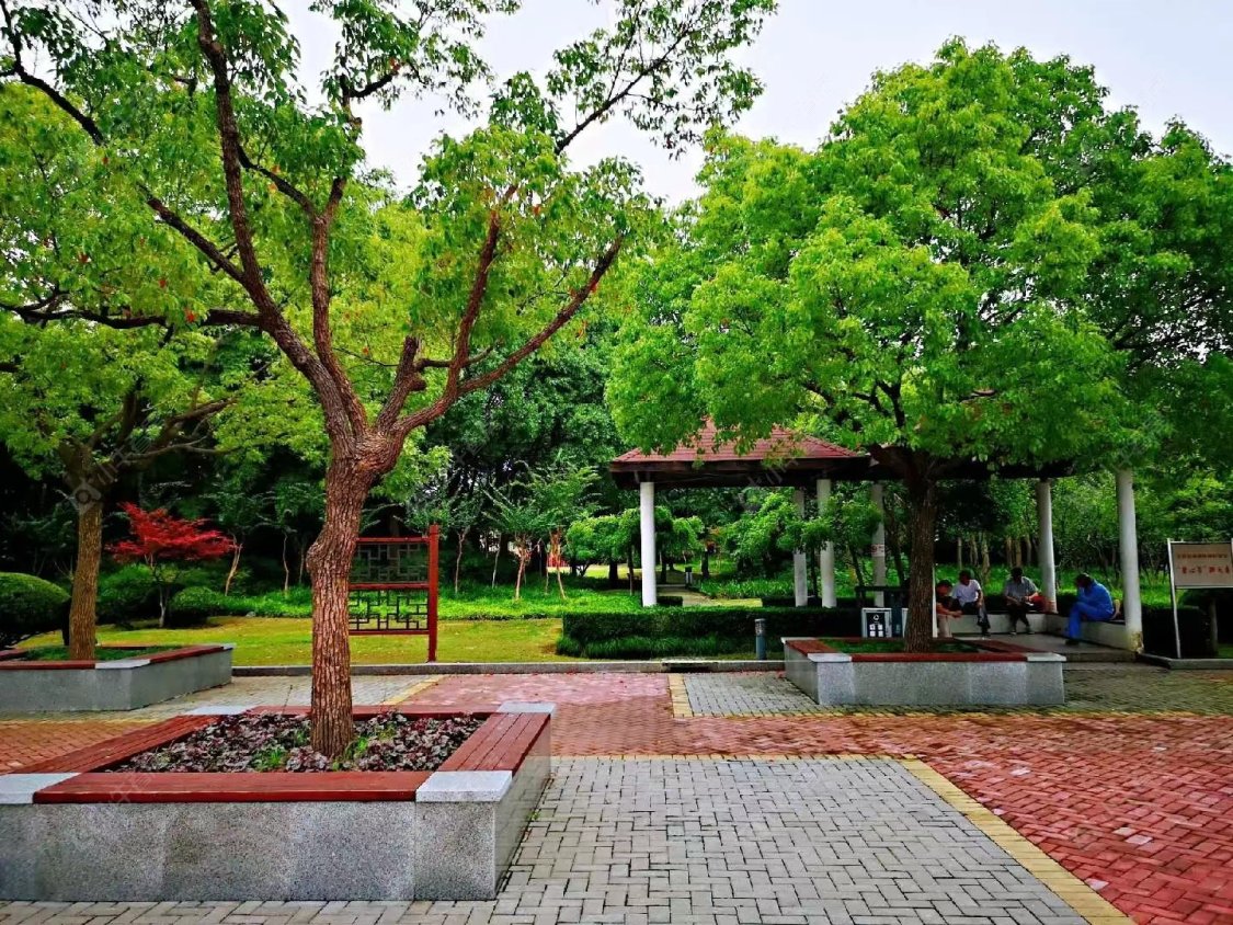 上海保利光合上城小区_保利光合上城小区null