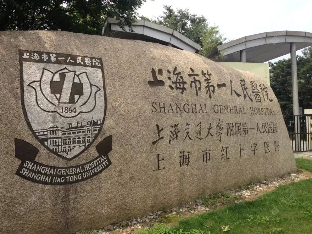 上海泗泾绿中海小区_泗泾绿中海小区null