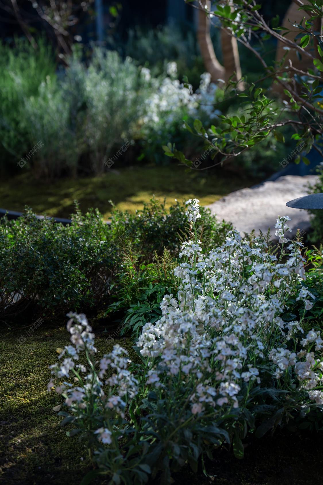 上海四季隐秀别墅区小区_四季隐秀别墅区小区null