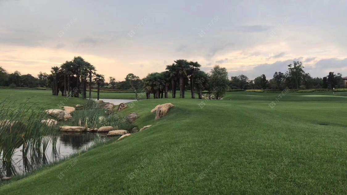 上海东滩海上明月别墅区小区_东滩海上明月别墅区小区null