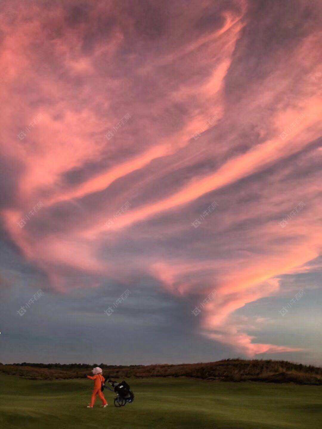 上海东滩海上明月别墅区小区_东滩海上明月别墅区小区null