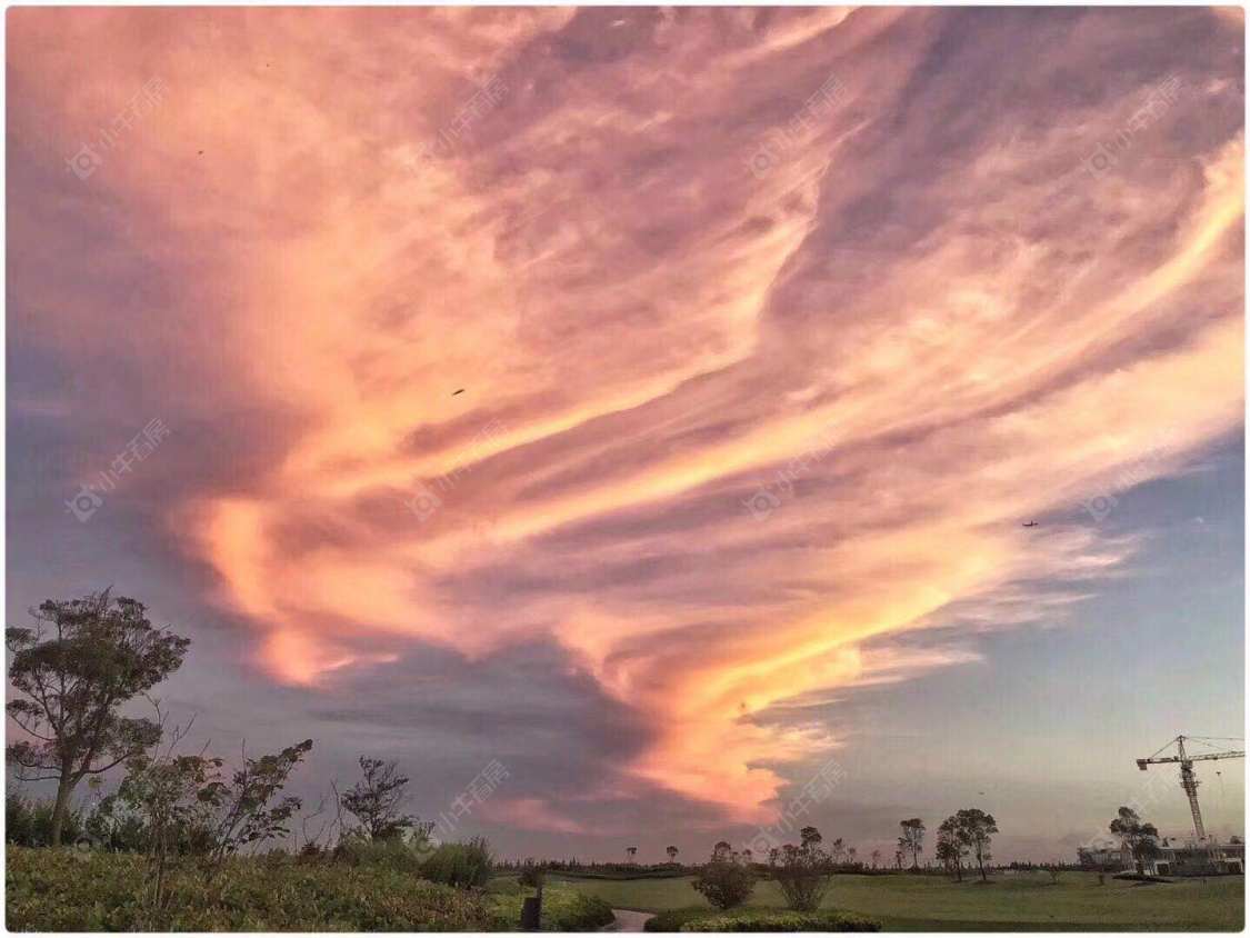 上海东滩海上明月别墅区小区_东滩海上明月别墅区小区null