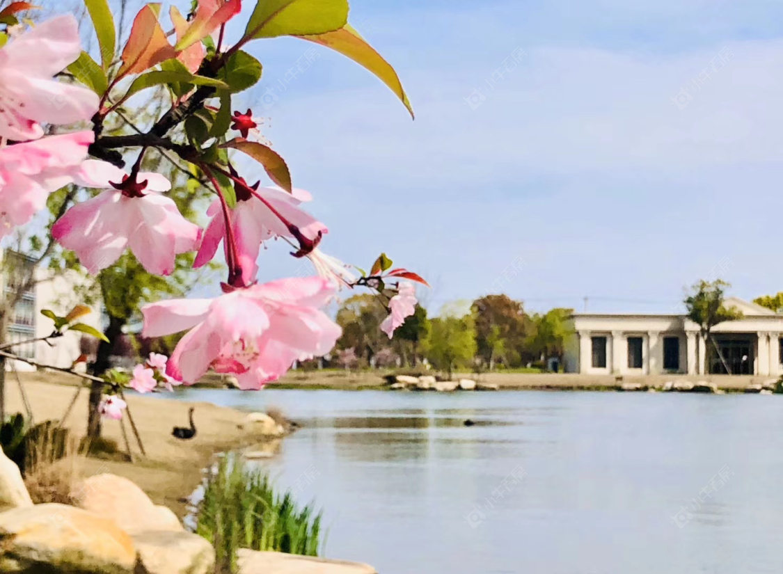 上海上实和风院小区_上实和风院小区null