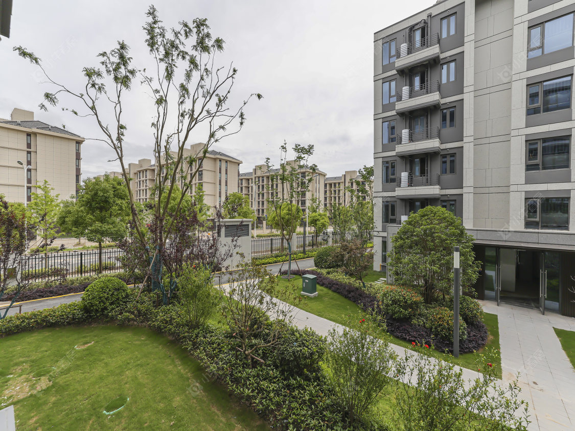 上海十里江湾289弄小区_十里江湾289弄小区null